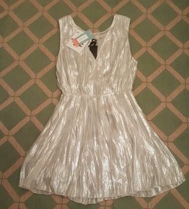 Greylin Lindo Silver Pleat Dress